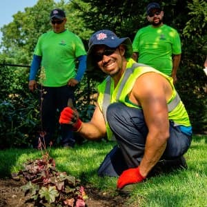 Lawn Maintenance Professionals