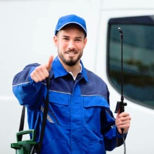 Pest Control Services
